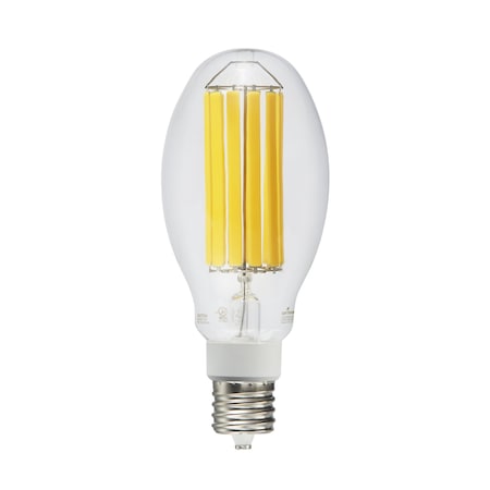 Light Efficient Design 54W Filament Style Retrofit, 5000K LED-8064M50